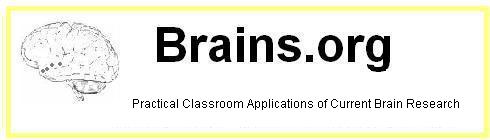 brains logo